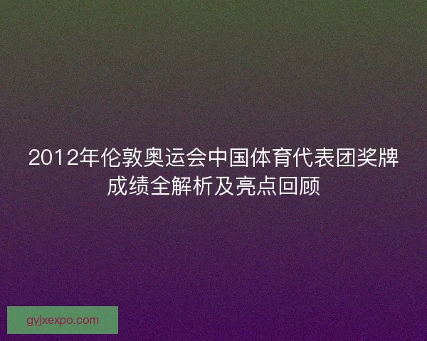 2012年伦敦奥运会中国体育代表团奖牌成绩全解析及亮点回顾