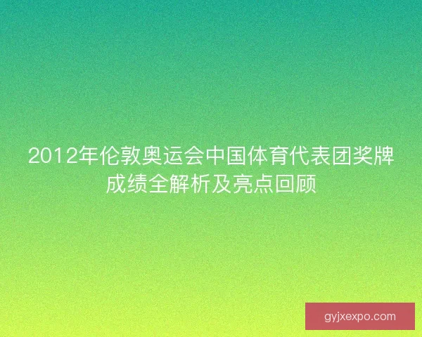 2012年伦敦奥运会中国体育代表团奖牌成绩全解析及亮点回顾